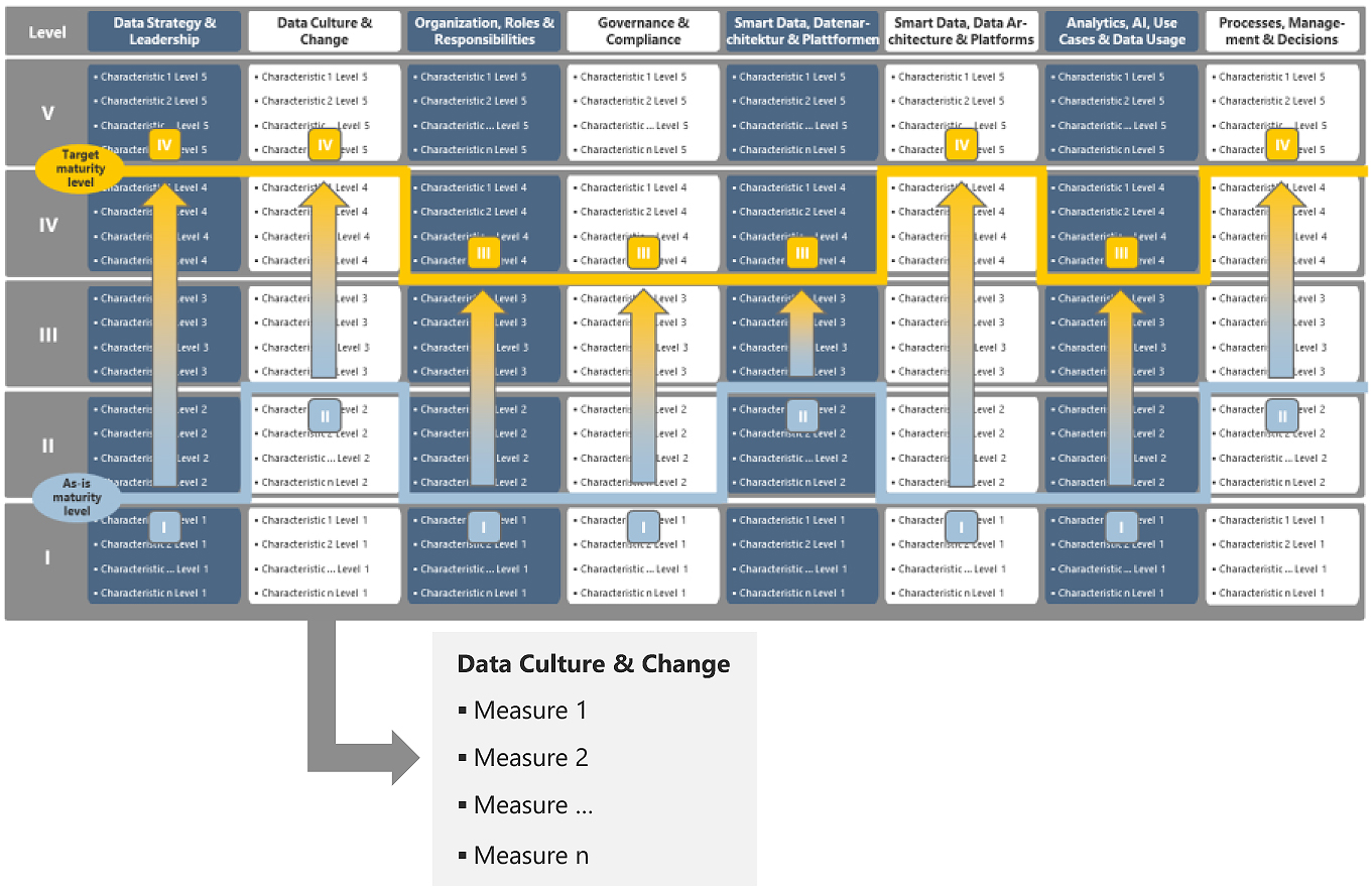 Infographic in the form of a process diagram for Data Driven Organization