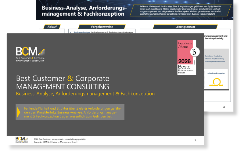 BCM. Onepager Cover: Business Analyse