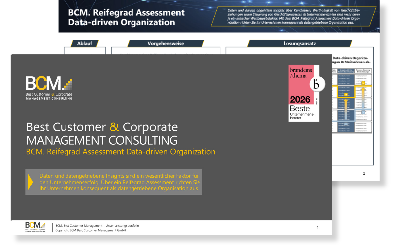 BCM. Onepager Cover: Data Driven Organization